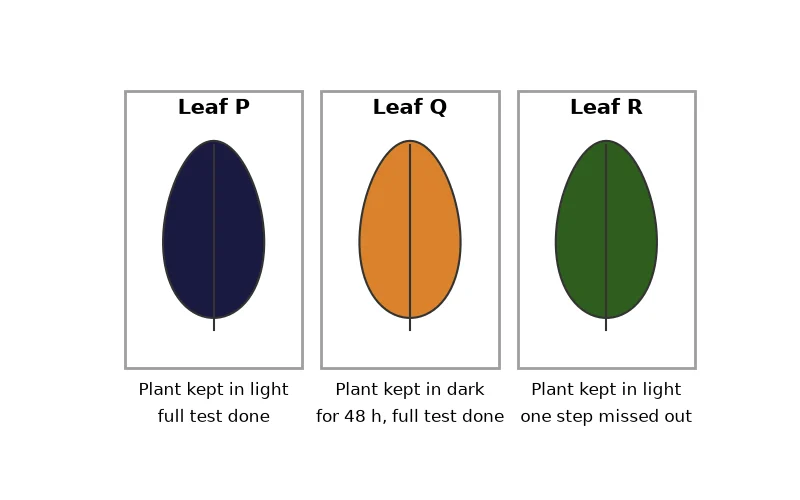 Dr Dabour Hub Academy - figure 3