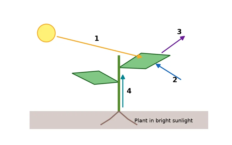 Dr Dabour Hub Academy - figure 4