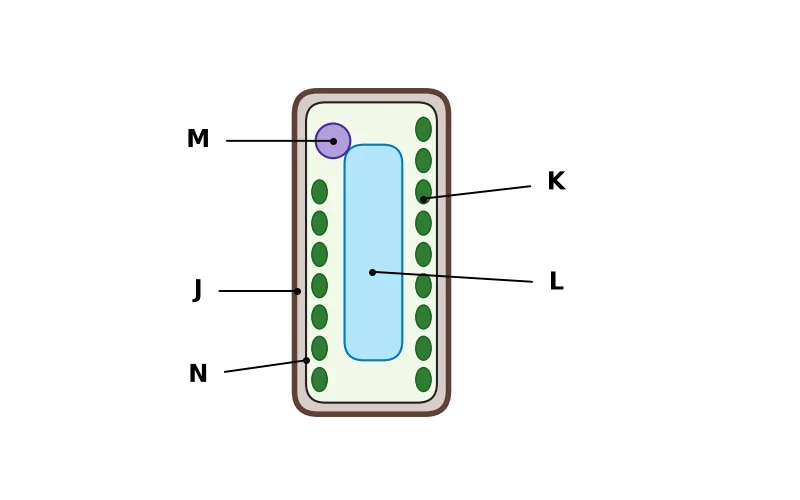 Dr Dabour Hub Academy - figure 7