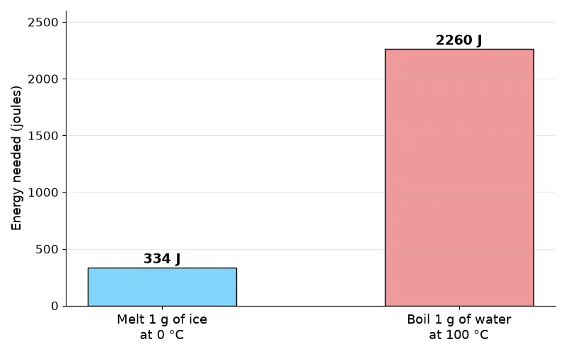Dr Dabour Hub Academy - figure 3