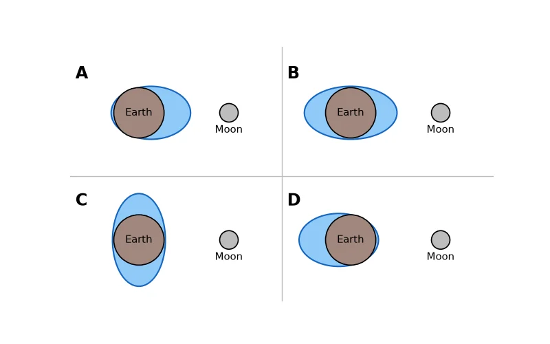 Dr Dabour Hub Academy - figure 2