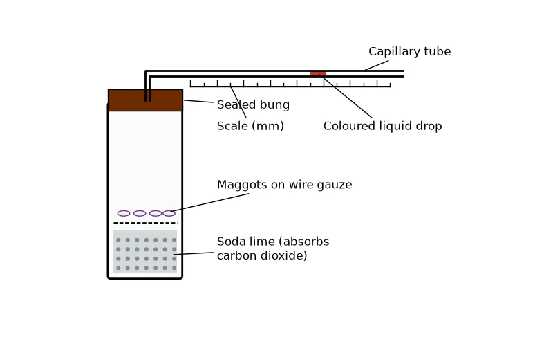 Dr Dabour Hub Science Diagram and Course Material