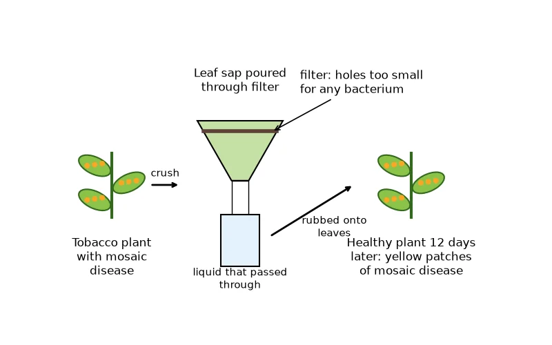 Dr Dabour Hub Science Diagram and Course Material