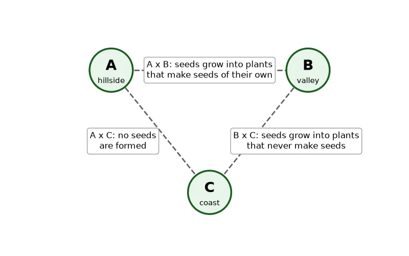 Dr Dabour Hub Science Diagram and Course Material