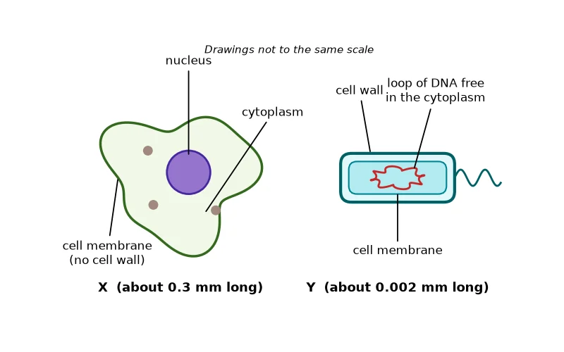 Dr Dabour Hub Science Diagram and Course Material