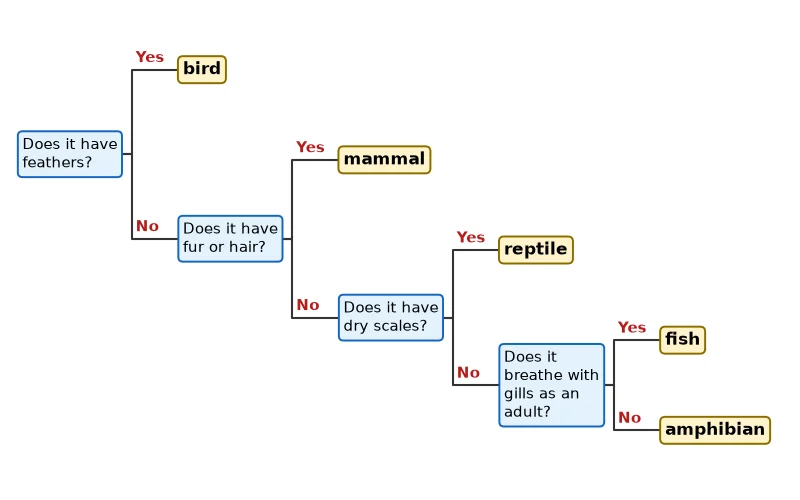 Dr Dabour Hub Science Diagram and Course Material