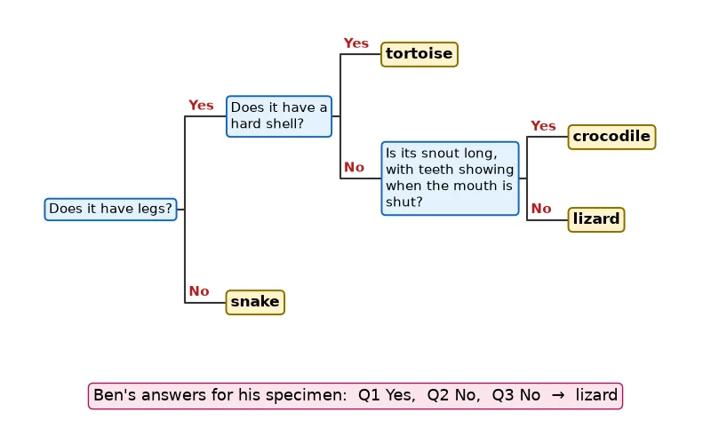 Dr Dabour Hub Science Diagram and Course Material