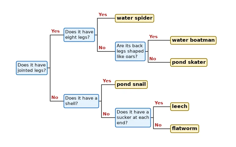 Dr Dabour Hub Science Diagram and Course Material