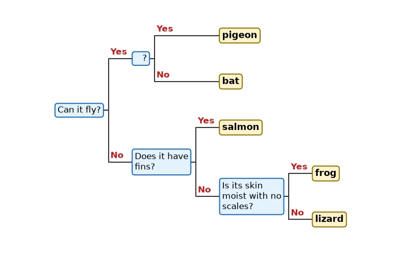 Dr Dabour Hub Science Diagram and Course Material