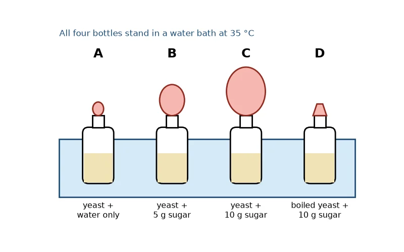 Dr Dabour Hub Academy - figure 5
