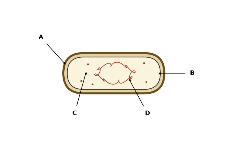 Dr Dabour Hub Academy - figure 7