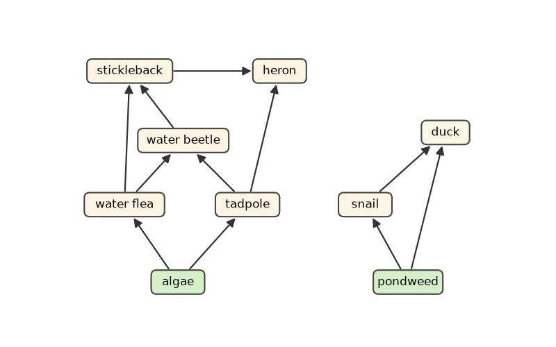 Dr Dabour Hub Academy - figure 2