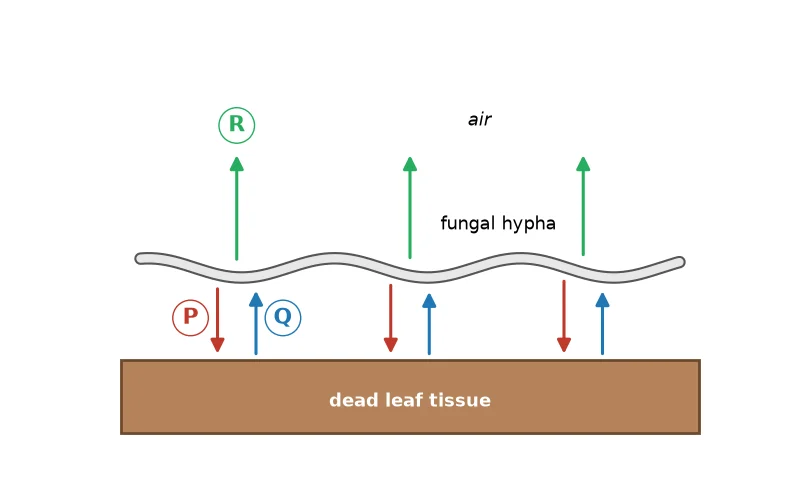 Dr Dabour Hub Science Diagram and Course Material