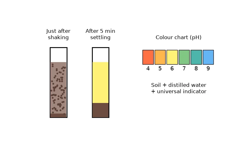 Dr Dabour Hub Academy - figure 3
