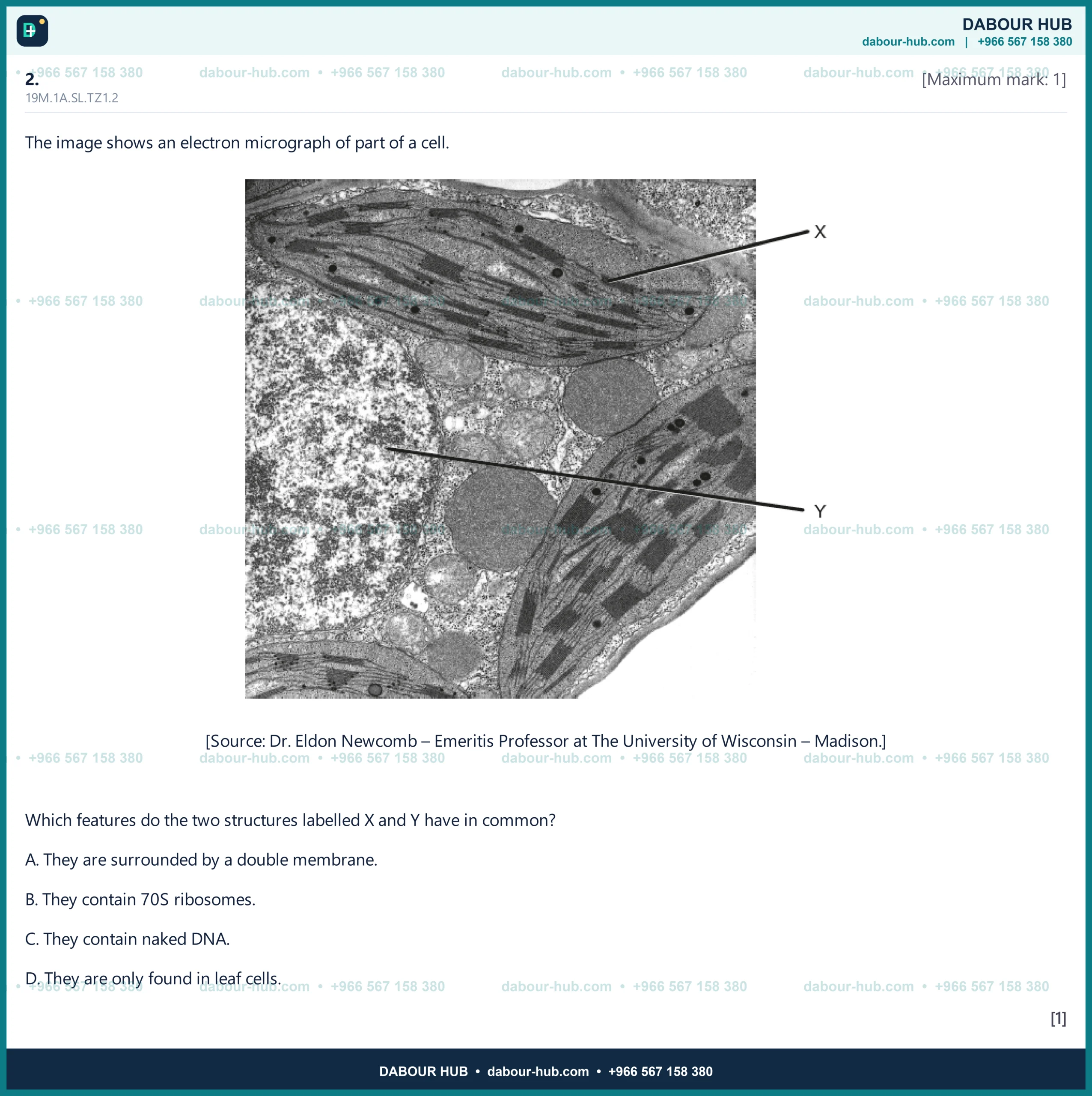 Dr Dabour Hub Science Diagram and Course Material