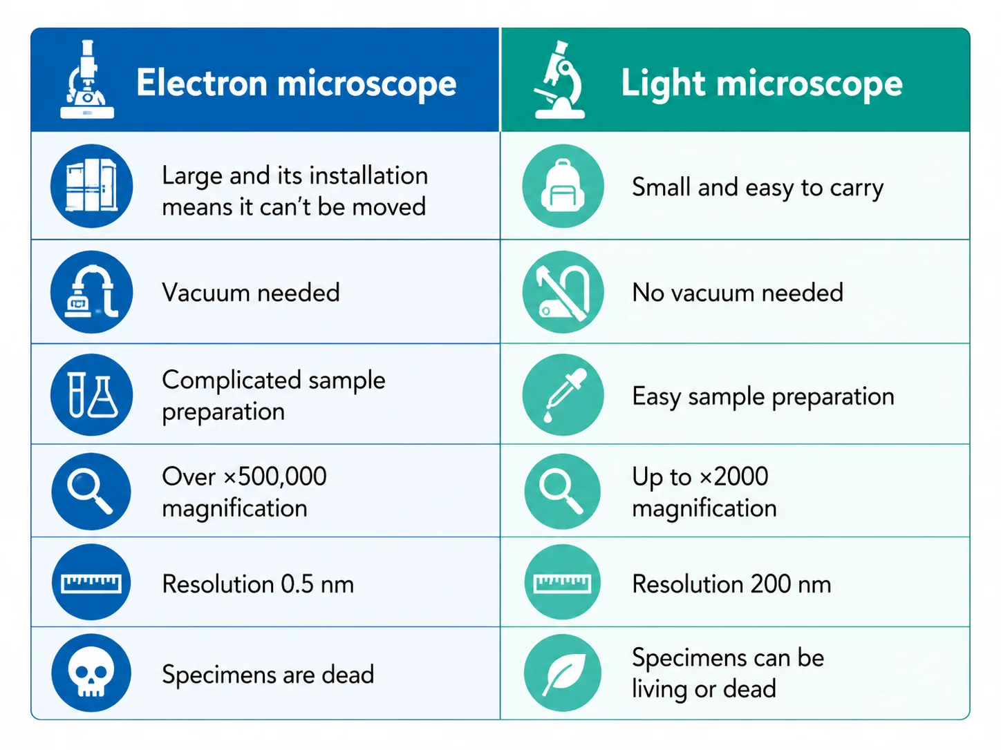 Comparison of electron and light microscopes