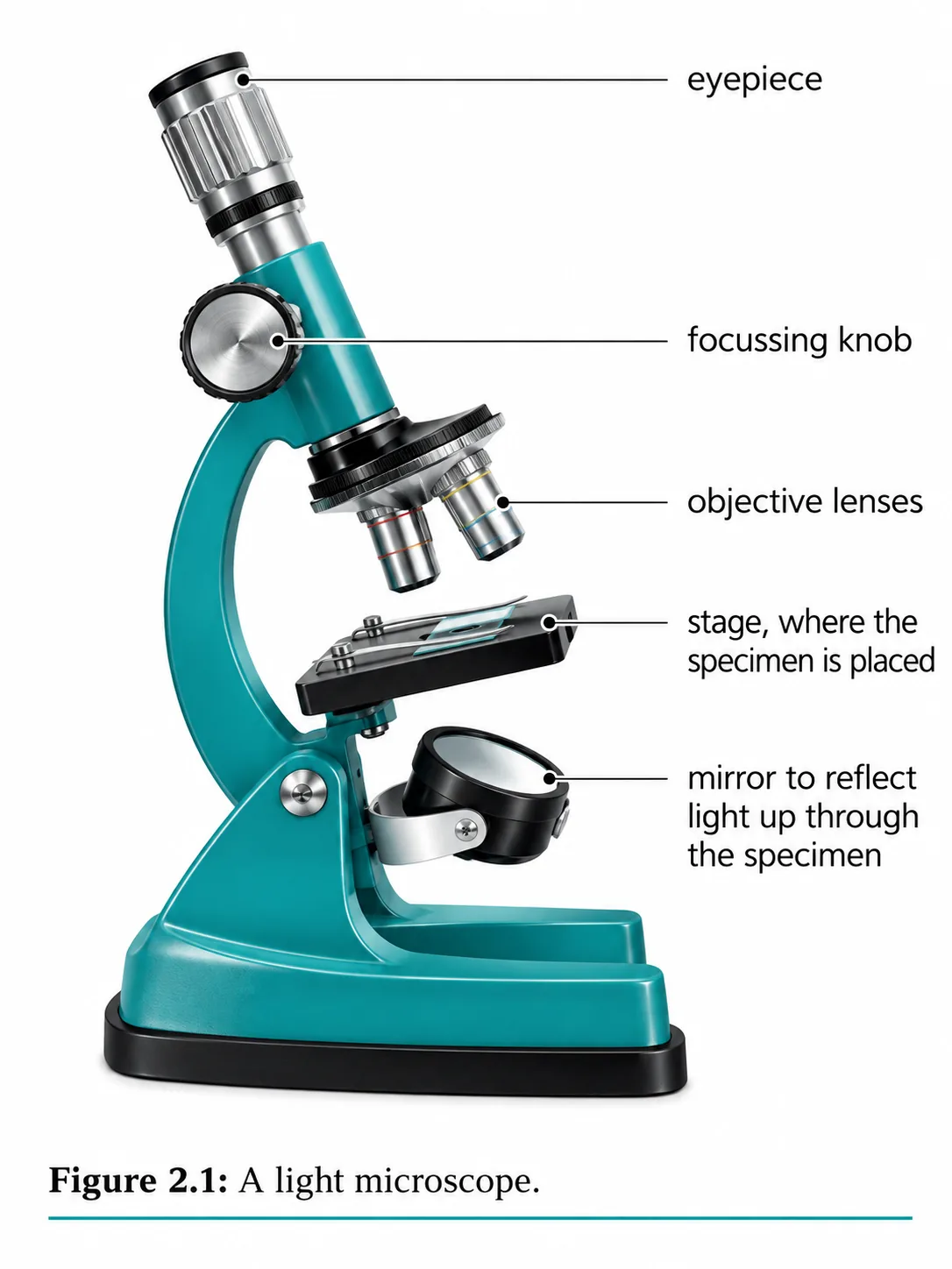 Light microscope labelled parts