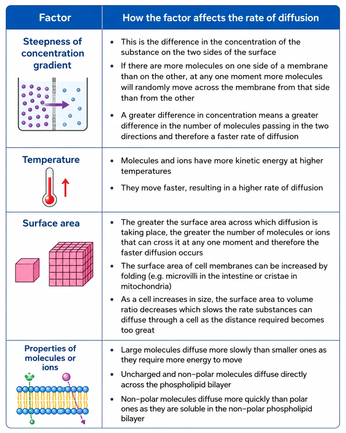 Factors Affecting Rate of Diffusion