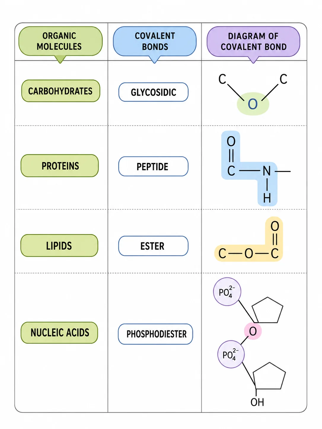 organic molecules covalent bonds table