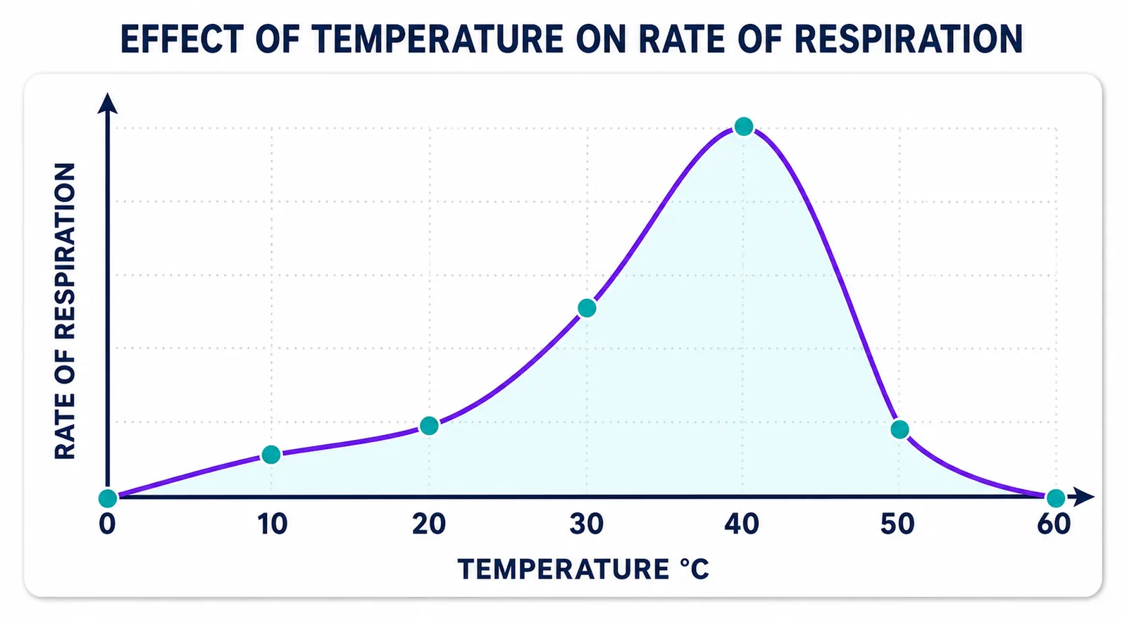 Effect of temperature on rate of respiration (graph)