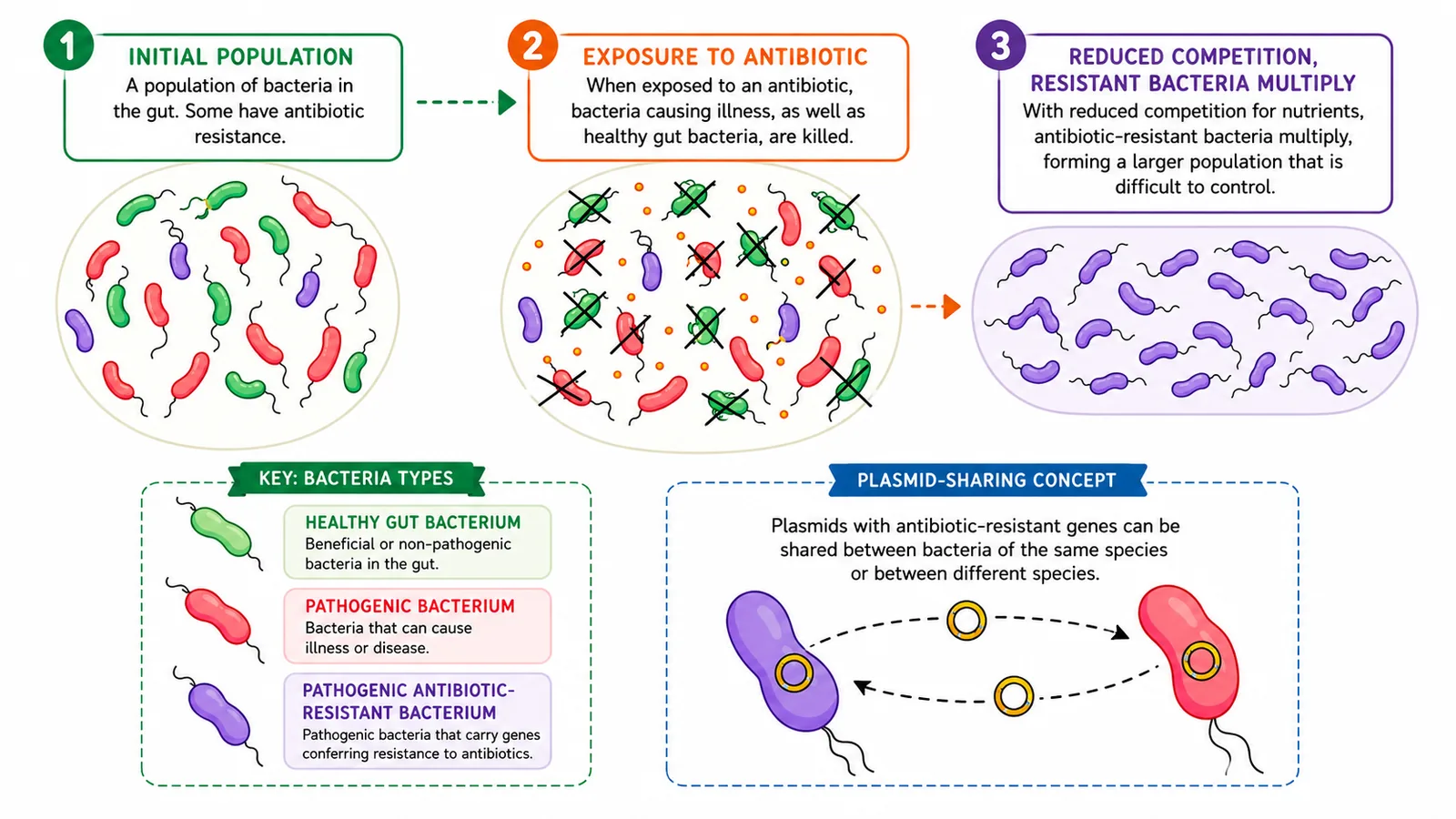 Antibiotic resistance and natural selection in bacteria