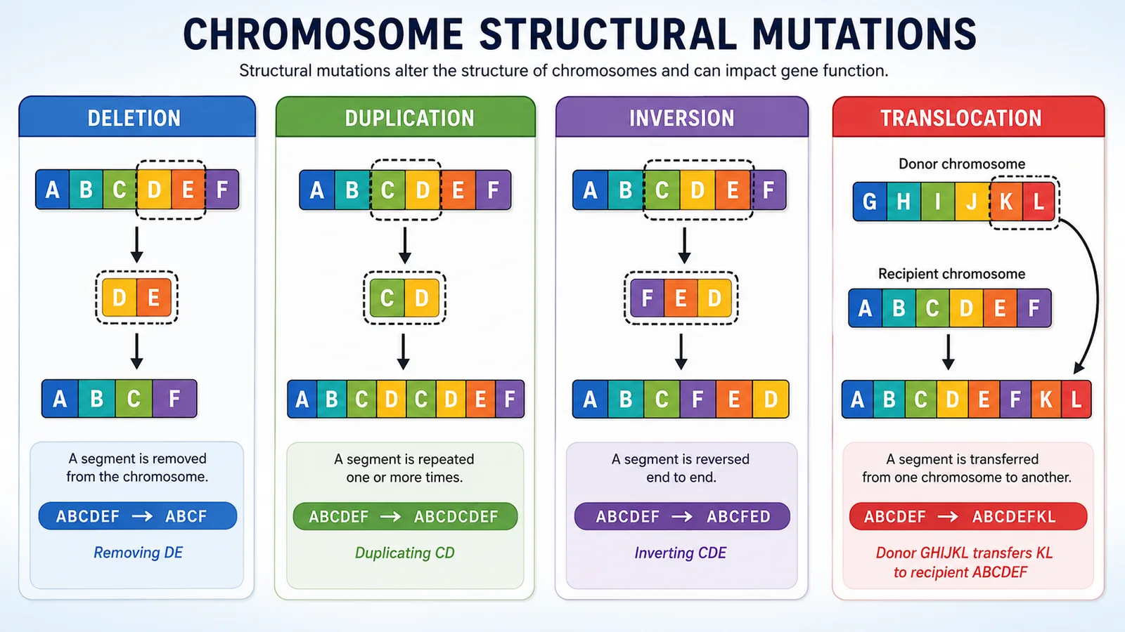 chromosome structural mutations