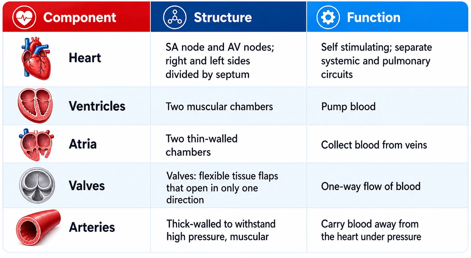 cardiovascular table