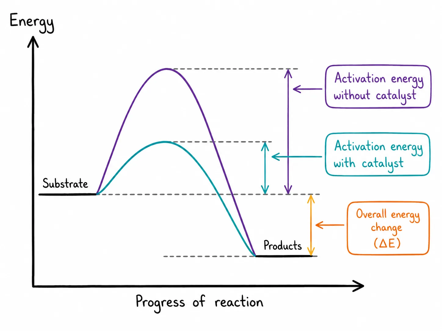Lowering Activation Energy