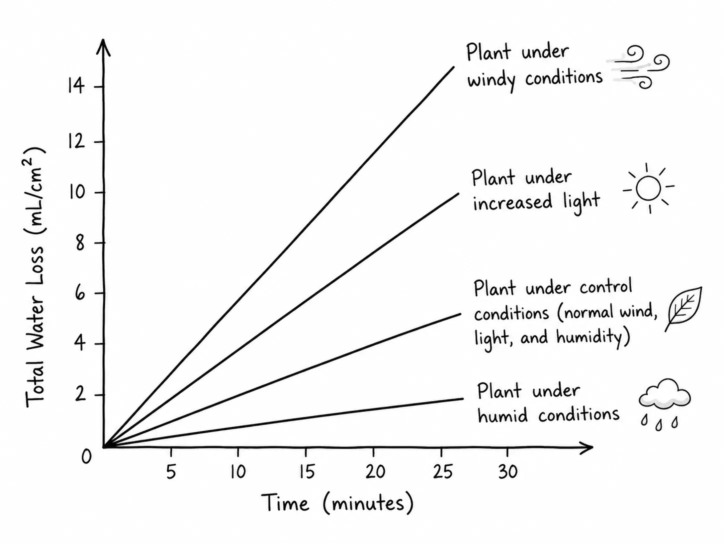 Total Water Loss vs Time