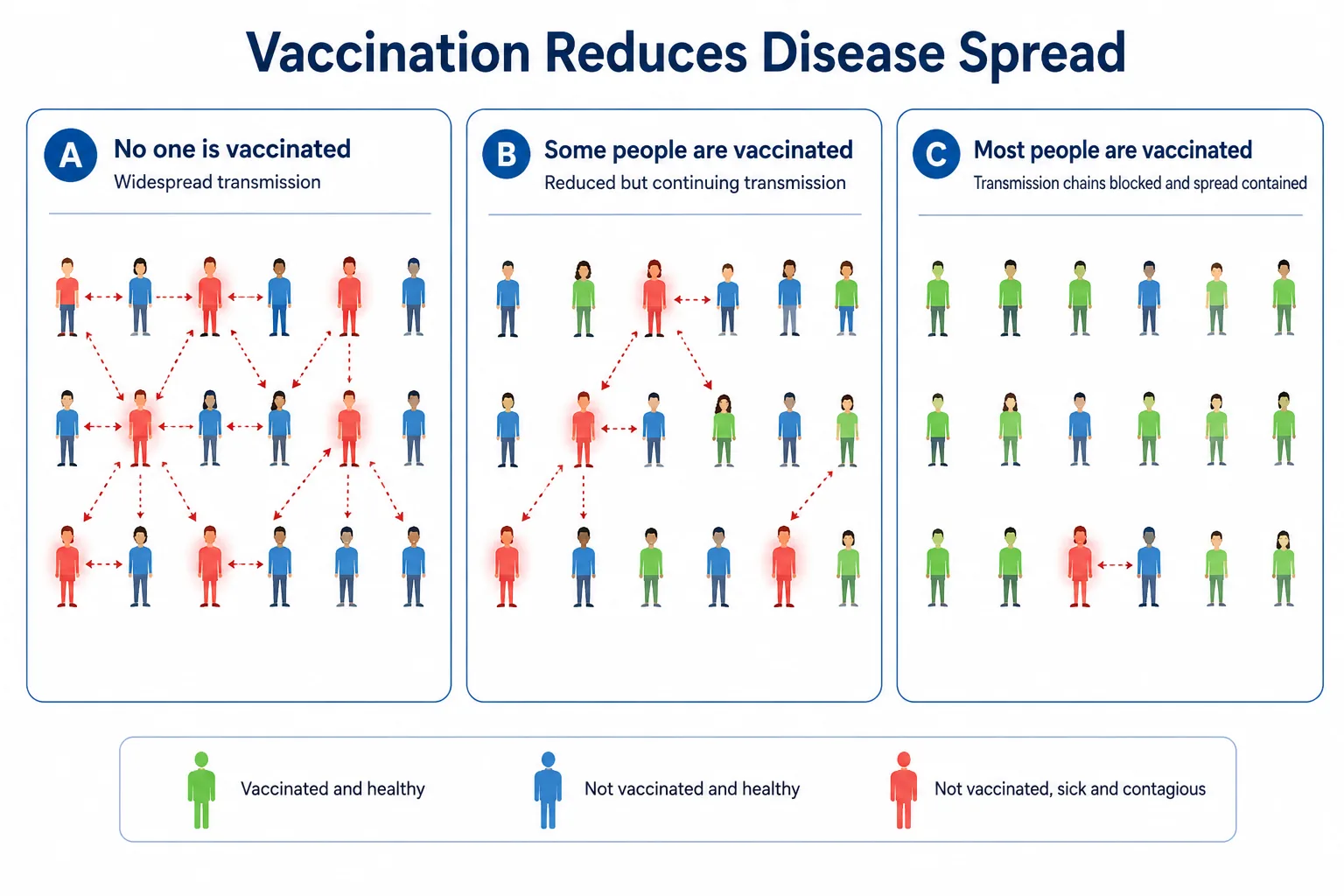 Vaccination reduces disease spread (population panels)