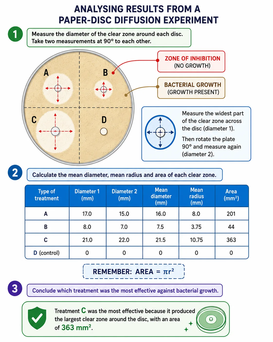 Paper-Disc Diffusion — Animated Analysis