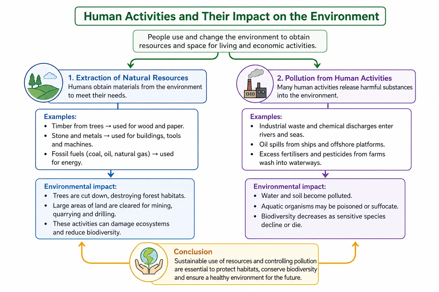 Human Activities and Their Impact on the Environment