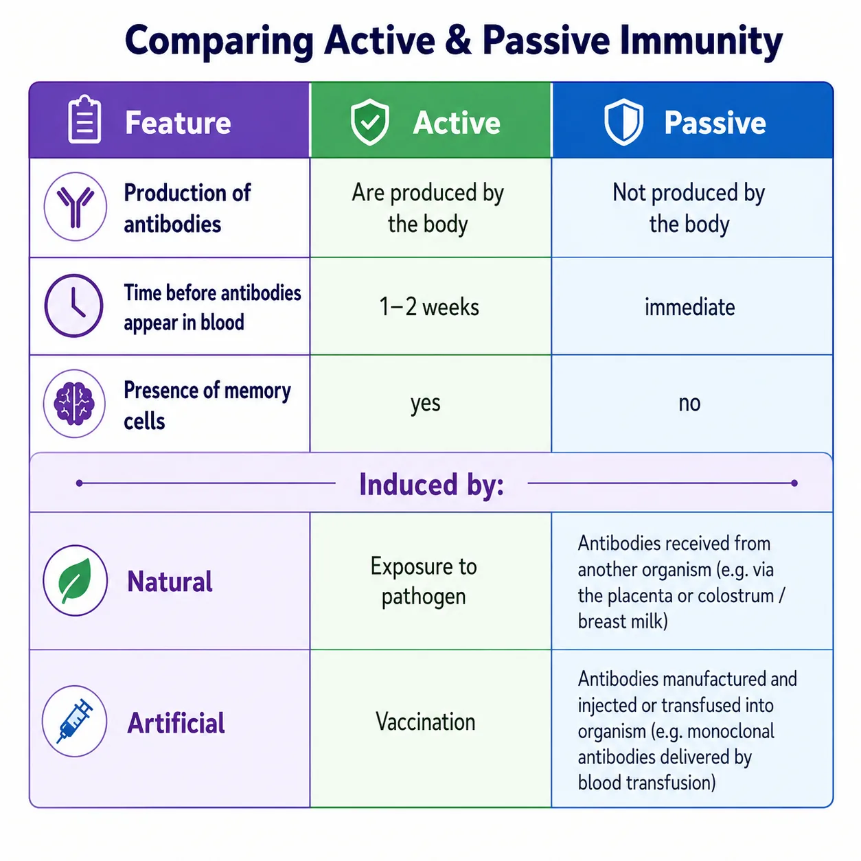 Table comparing active and passive immunity