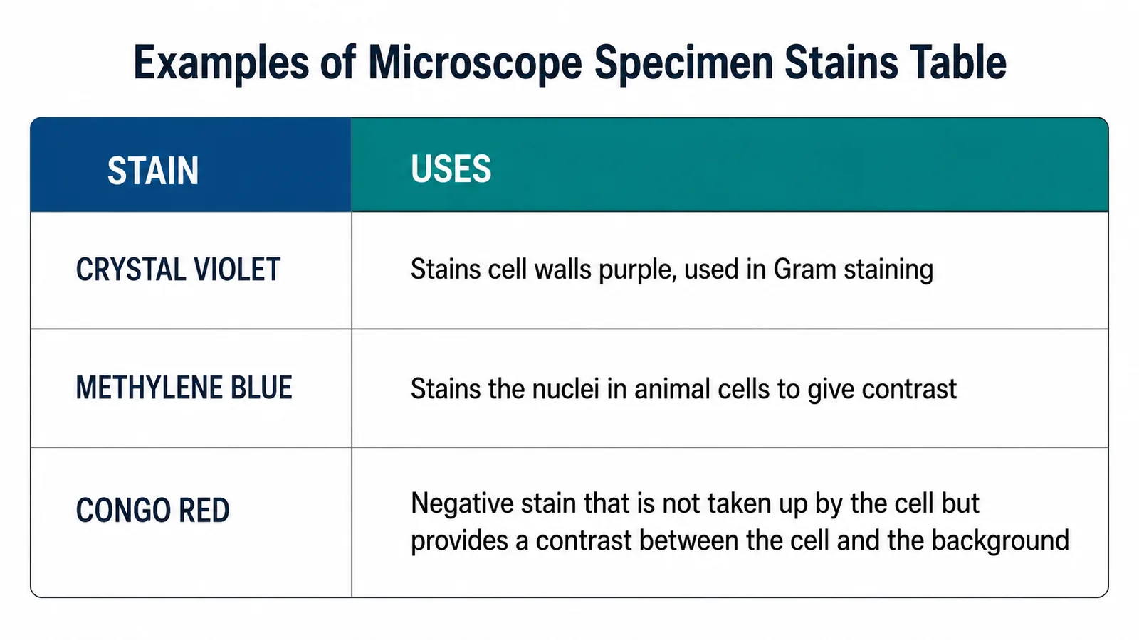 Examples of Microscope Specimen Stains — Simulation