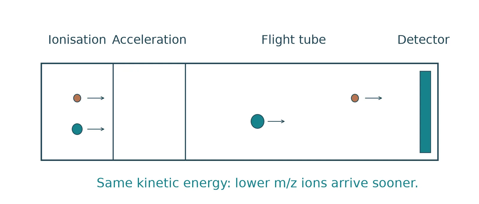 time of flight mass spectrometer stages