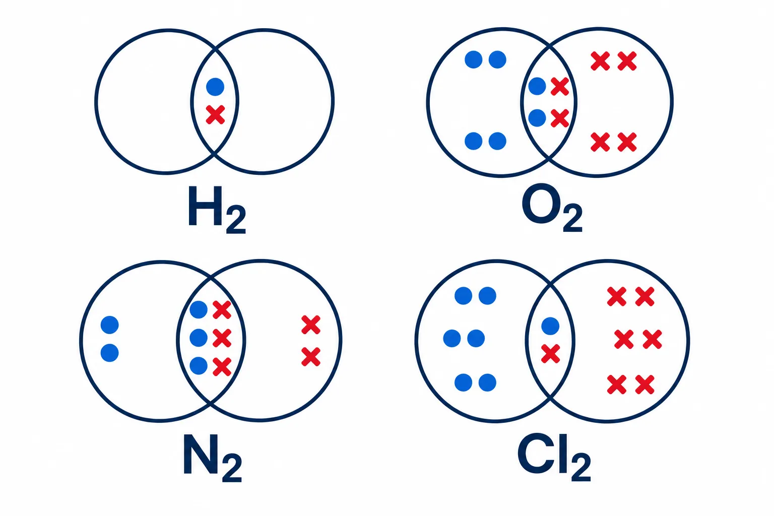 Hydrogen oxygen nitrogen chlorine covalent bonding