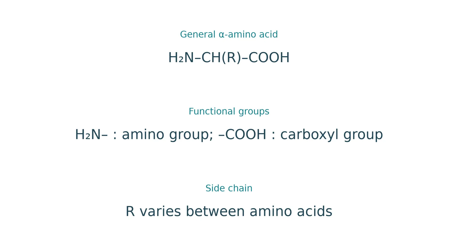 Amino acid groups side chain
