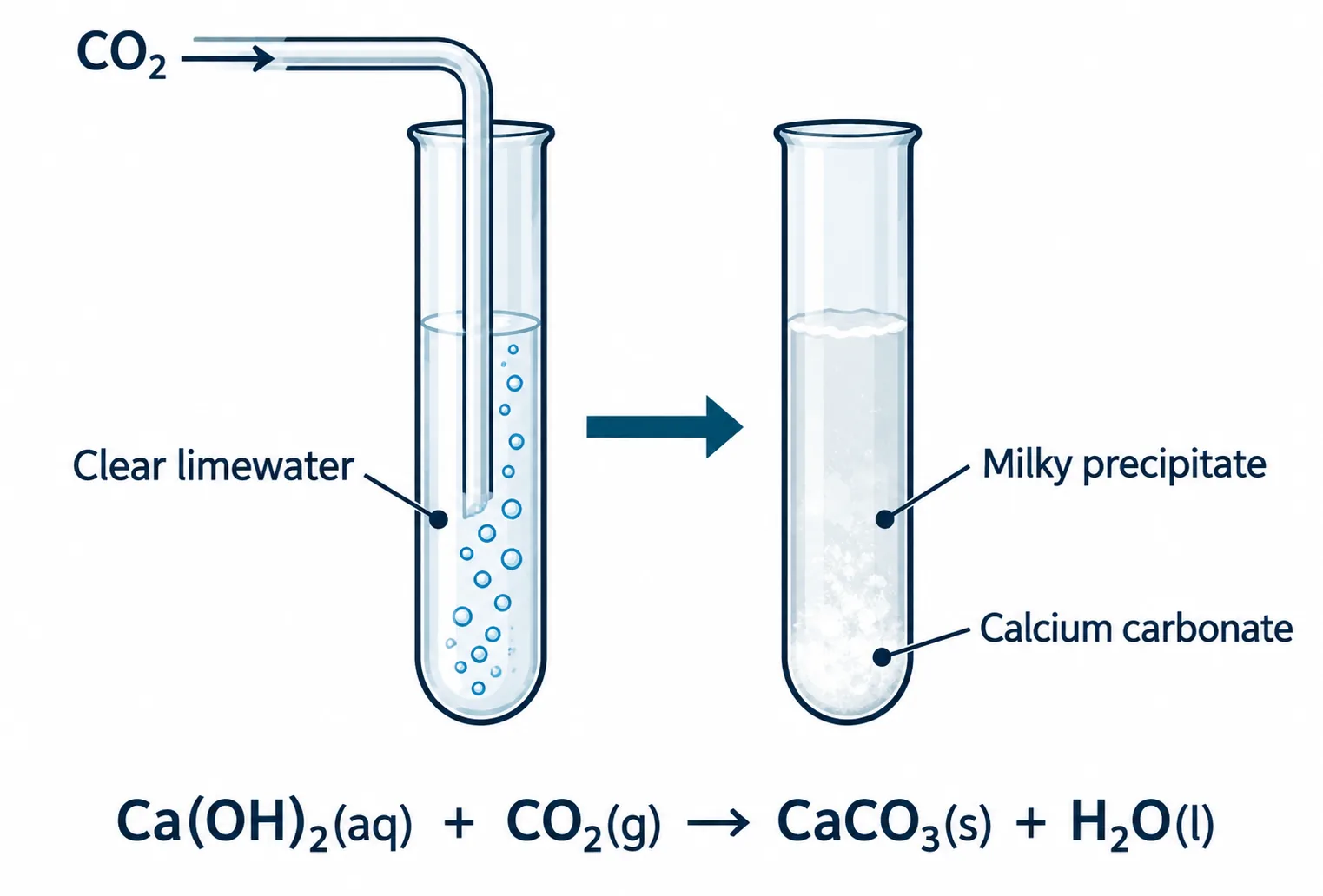 carbon dioxide limewater