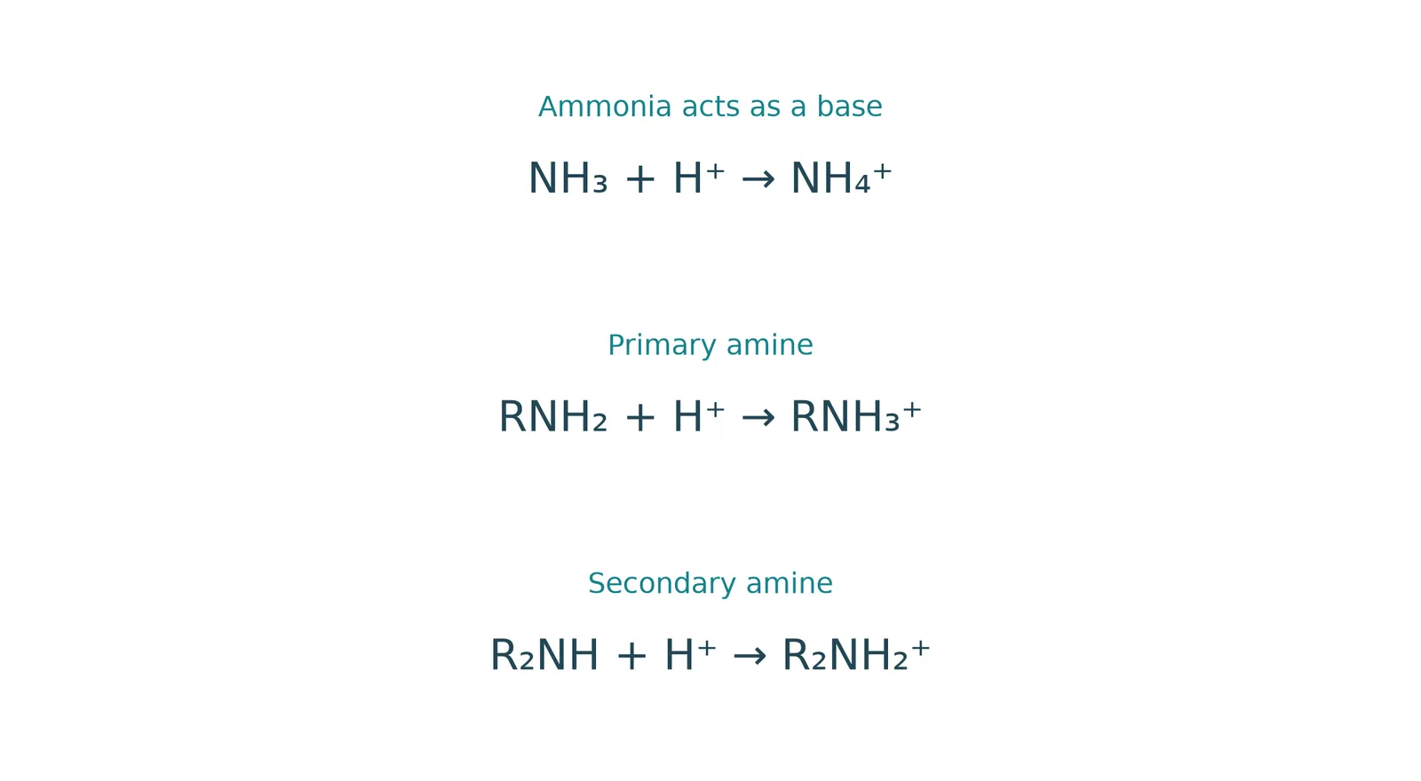 ammonia amine protonation