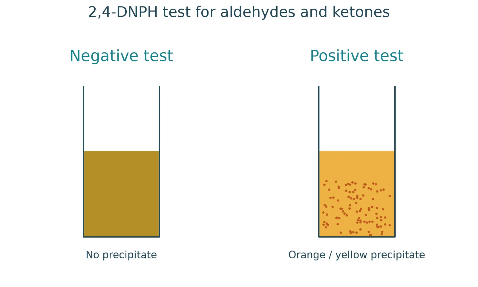Dnph carbonyl positive negative test
