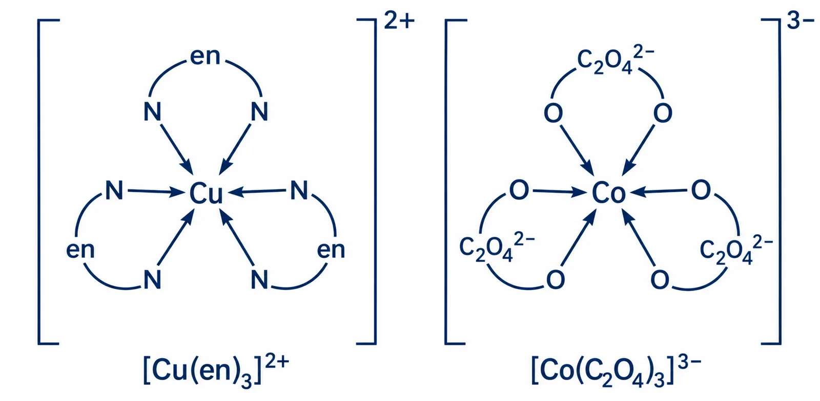 Three bidentate ligands around Cu and Co schematic