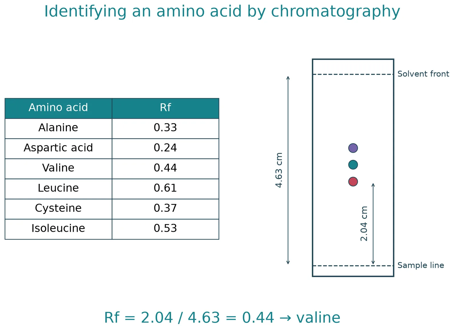 amino acid rf identification