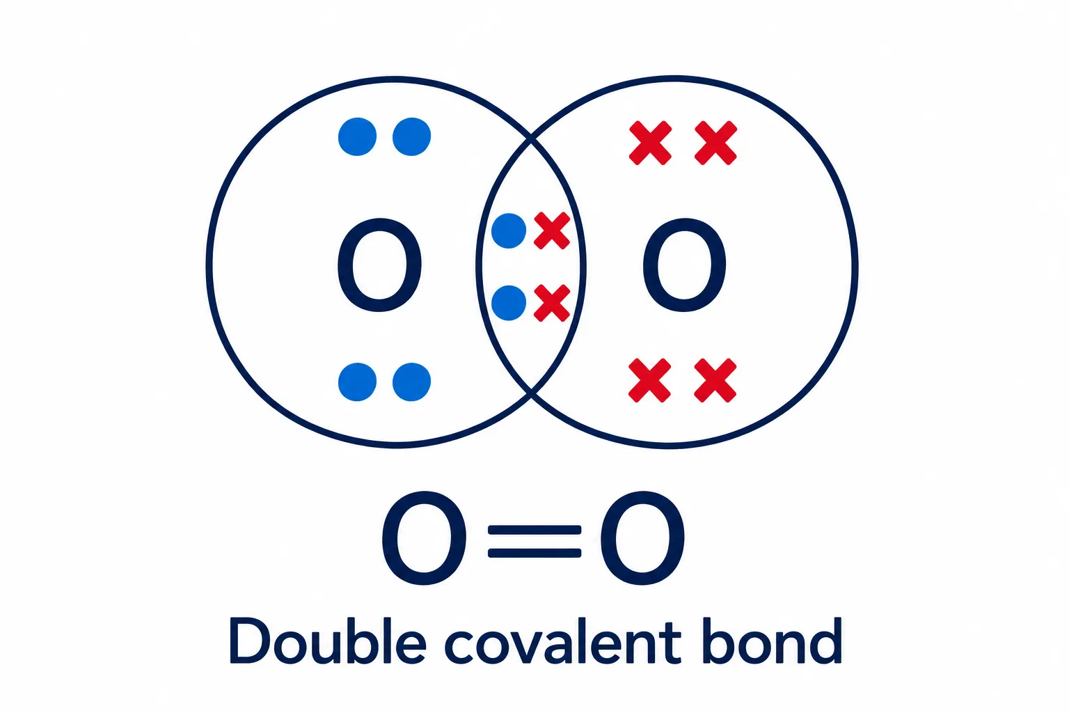 Oxygen molecule double bond dot and cross diagram