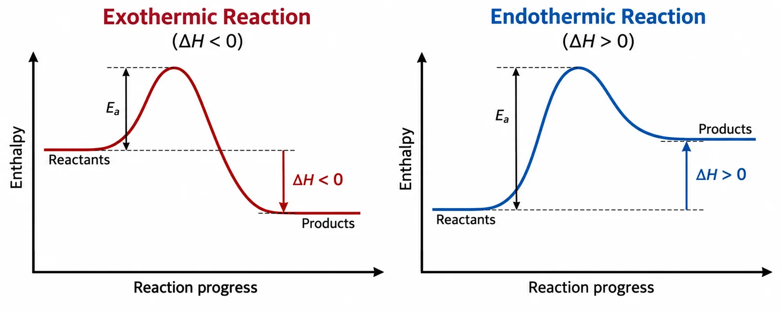 exothermic endothermic energy profiles