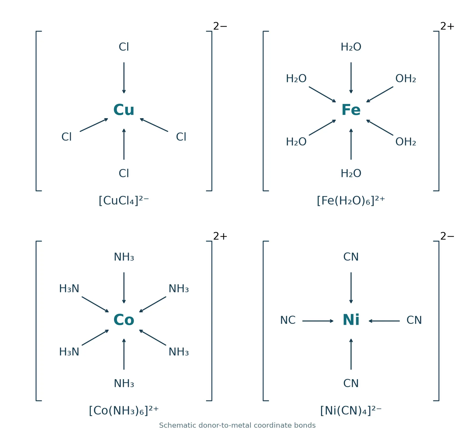 Monodentate ligand coordinate bonding examples