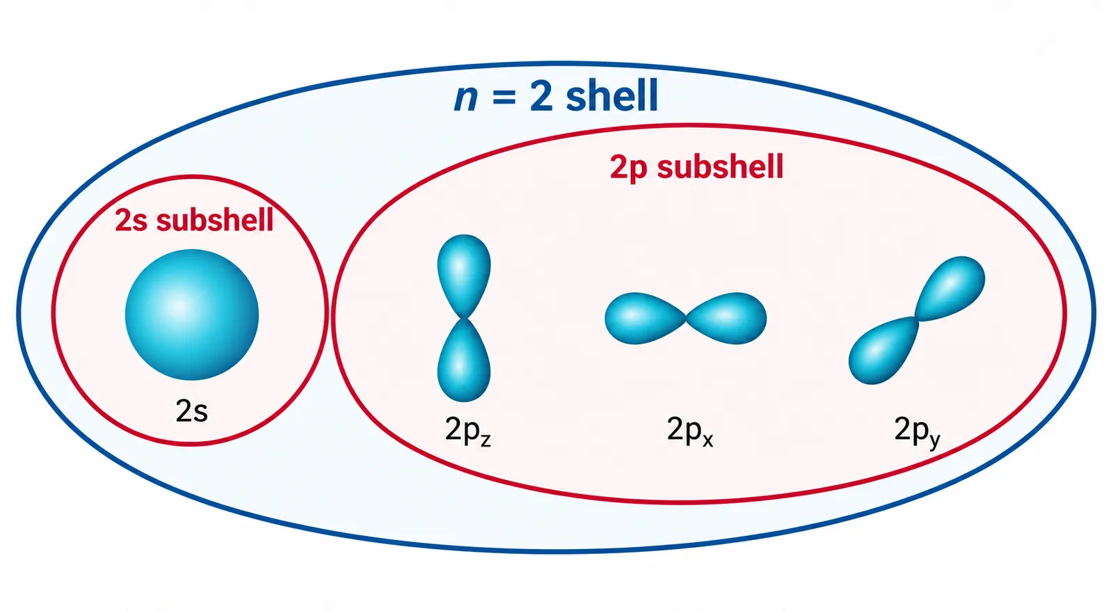 Second shell 2s and 2p subshells and orbitals
