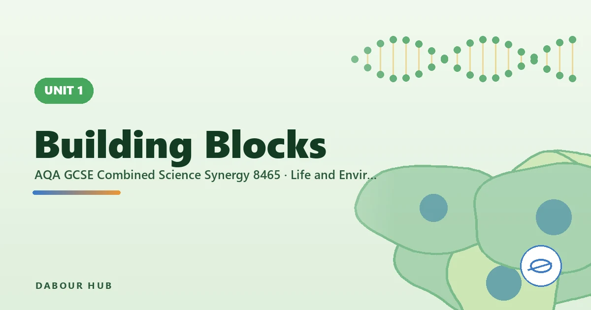 Building Blocks — unit cover