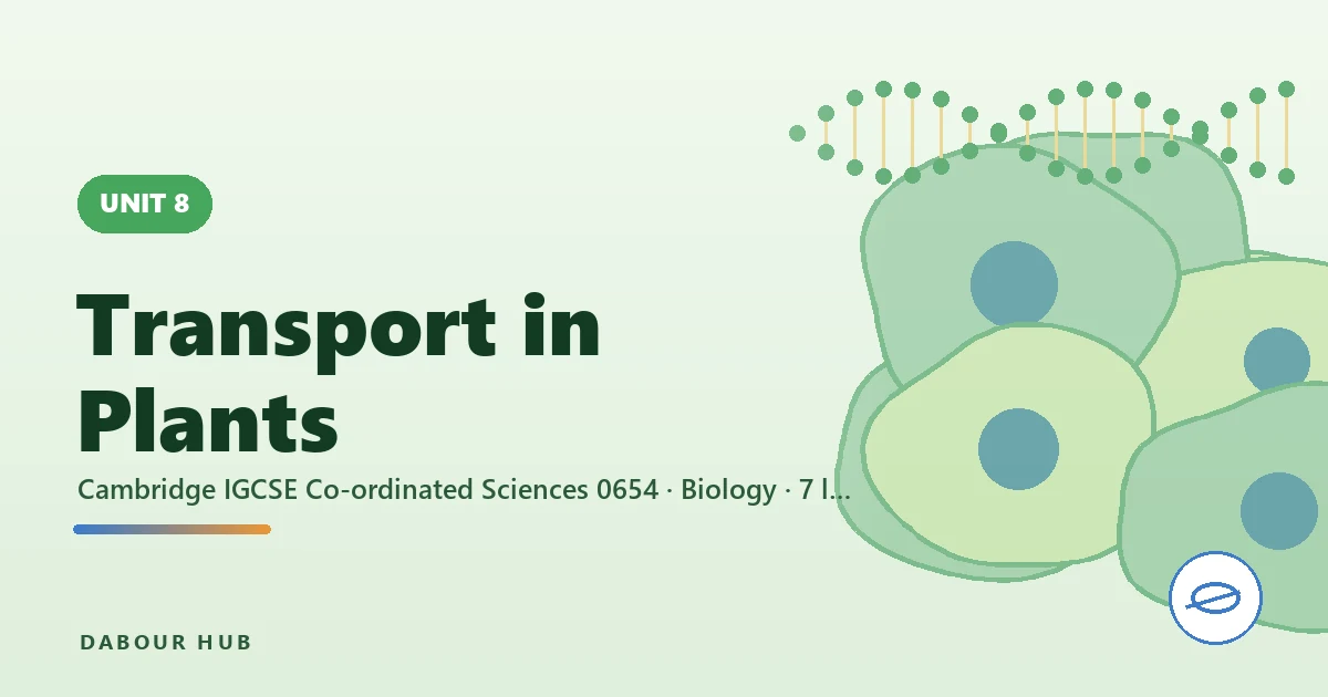 Transport in Plants — unit cover