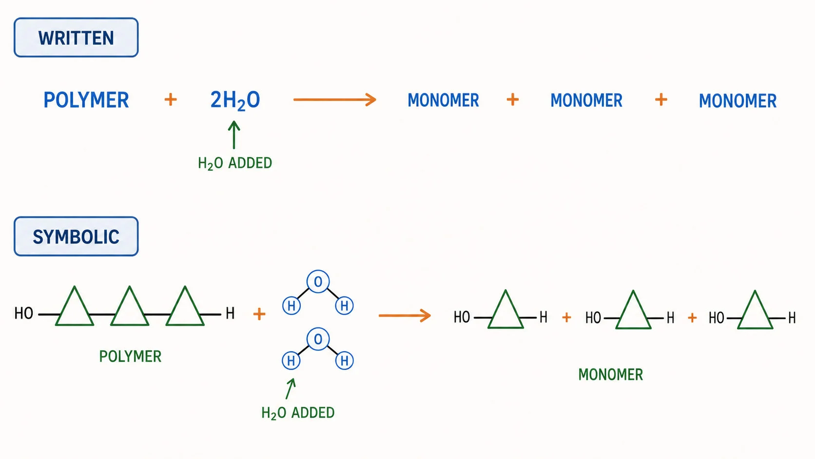 Condensation and hydrolysis of polymers