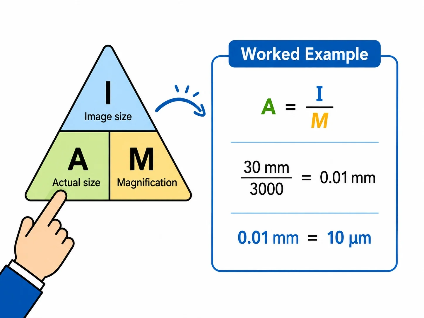 Actual size equals image size divided by magnification.